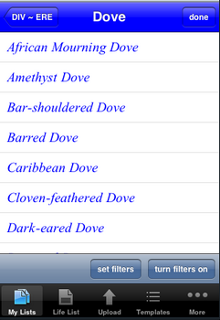 dove 3 ebird - no f.png